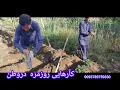 Download Lagu اول صبح بانشاط کاردرباغچه