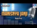 Karaoke lagu MANISNYA JANJI nada pria-versi organ tunggal_terbaru.