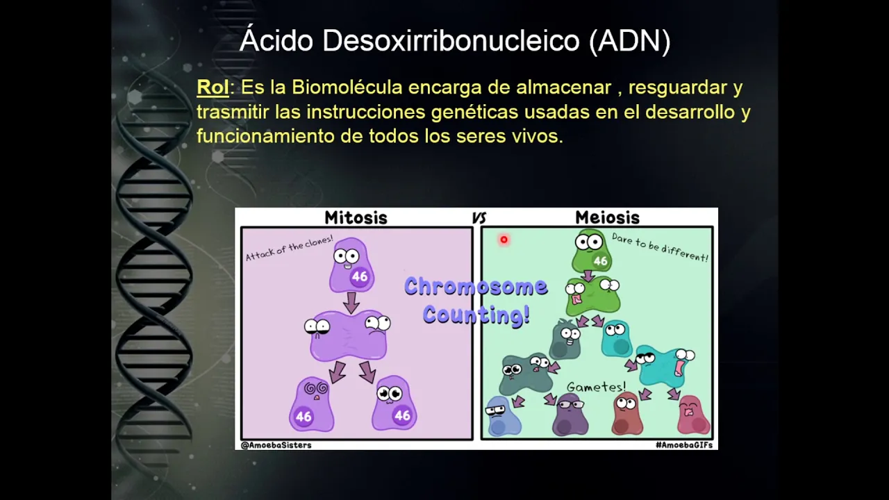 Bases Moleculares de la Herencia