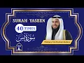 Download Lagu 40 Times  |  Surah Yaseen |  Mishary Bin Rashid Al-Afasy