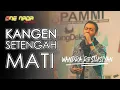 Download Lagu WANDRA - KANGEN SETENGAH MATI (Koplo)| ONENADA Music LIVE STREAMING