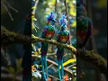 Download Lagu The Cutest Birds You've Ever Seen! 🐦💕 #birds #nature #love #youtubeshorts #shorts #shortsfeed