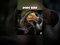Download Lagu Extinct animals that scientists trying to bring back. #animals #shorts