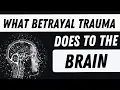 Download Lagu What Betrayal Trauma Does to the Brain | The Impacts of Partner Betrayal Trauma
