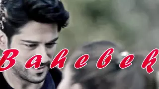 بحبك مش هقول تاني      وائل جسار      حب أعمي            دندنها