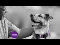 Allwell Medicare Advantage Texas