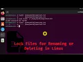 How to Lock a File for in Linux