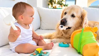 Golden Retriever Steals Baby’s Toy — Her Reaction Is Priceless!