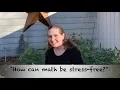Stress Free Math for Kids Introduction