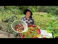 Download Lagu 今天摘些阳荷做个美味下饭菜 picked some wild vegetables today to make a delicious meal