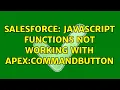 Salesforce Javascript functions not working with Apex commandbutton