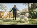 Hanrob Pet Hotels - The Pet Lovers Choice
