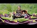 Download Lagu Harvest the Best Eggplants \u0026 Cooking with Traditional Family Cake Recipe of Ms Duong | Village Life
