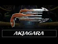 Warframe Weapon Encyclopedia - AkJagara 2021
