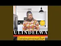 Download Lagu Abangane bami
