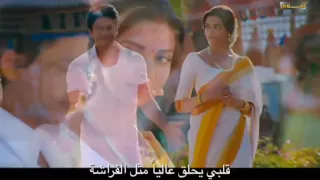 ديبيكا بادكون وشاروخان مترجمه عربي 