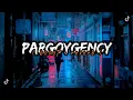 Lagu Dj Pargoygency ‎@NdooLife ft @rakaremixer Viral tiktok🔥