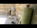 DOG AND HEN LOVE STORY 4