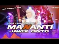 Download Lagu Dj Trap Lagu Minang Fauzana-Mananti Jawek Cinto