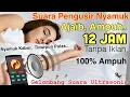 Download Lagu Suara Pengusir Nyamuk 12 JAM | Gelombang Ultrasonic | Nyamuk Hilang