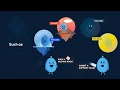 Introducing the Alerton Productivity Suite Powered By Roby