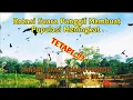 Download Lagu Rotasi Suara Panggil Walet Bertambah Atau Malah Kabur