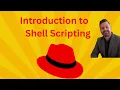 What Is Shell Scripting in Linux Learn the Secret Weapon Every SysAdmin Uses to Save Time