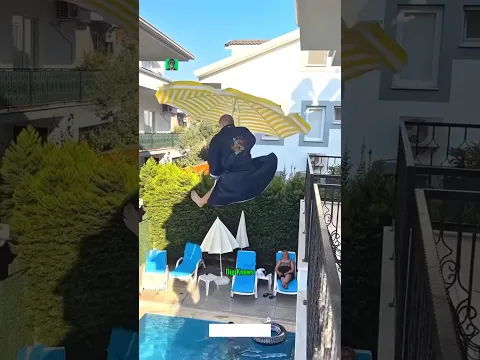 Cute Cat VS Black Cat #cat #cats #catvideos