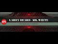 Larry Heard presents Mr. White - The Sun Can't Compare (Long Version)
