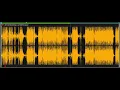 Drivers License in ossia score using AO Spectral Centroid