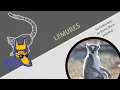 Download Lagu Lémures: Los hippies hediondos más antiguos | Ep 130| CULTURA COLMILLUDA