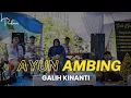 Download Lagu AYUN AMBING - KECAPI SULING ETNIK MODERN || GALIH KINANTI