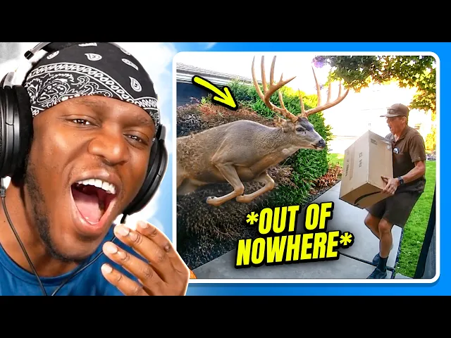 Video: Funniest Moments Caught On Camera