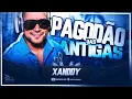 POT-POURRI PAGODÃO DAS ANTIGAS - XANDDY HARMONIA (Ao Vivo)
