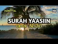 Download Lagu Murottal Surah Yasin Irama Bayyati Kurdi