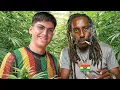 Lagu Beginilah KEHIDUPAN Seorang RASTAFARI di Jamaika 🇯🇲
