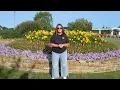 Plant Of The Day July 27 - August 2 30 Off Proven Winners Plants