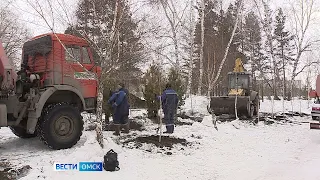 В Омске продлили осеннюю высадку деревьев