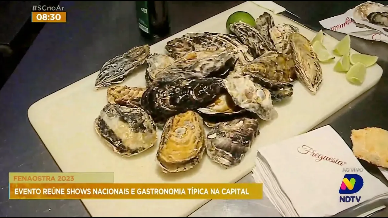 Fenaostra 2023: evento reúne shows nacionais e gastronomia típica em Florianópolis