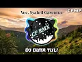 DJ Buta Tuli ( H. Rhoma Irama ) Dangdut Remix Full Bass by CF RMX