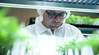 Production Aurora Cannabis s Corporate Purpose 2025