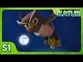 Lagu The Guardian Owl │ KATURI │ S1 EP20