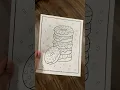 Valentine s Day Coloring Pages I Made