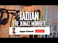 Download Lagu Jadian lagu The Junas Monkey ost Anak Band ( Karaoke)