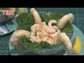 Classic Prawn Shrimp Cocktail with Marie Rose Sauce