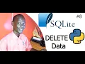 Python SQLite3 - How to Delete Data in Sqlite3 DatabaseTable