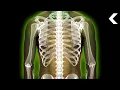 What Does Radiation Poisoning Do to Your Body