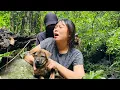 Download Lagu Full Video: The Day I Met a Threatening Stranger in the Middle of My Forest Adventure