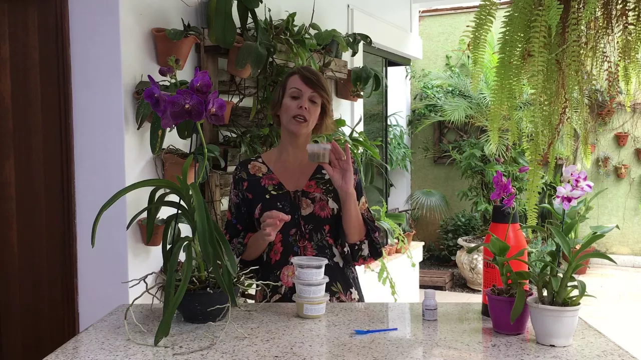 OS MELHORES ADUBOS PARA SUAS ORQUÍDEAS! CONFIRA!!!