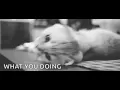 GIF - WHAT U DOING